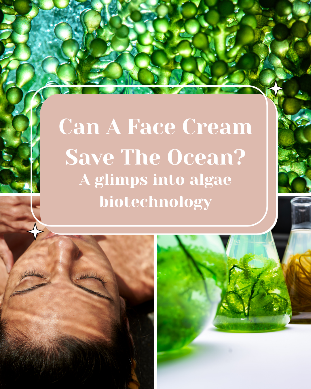 Can a Face Cream Save the Ocean?