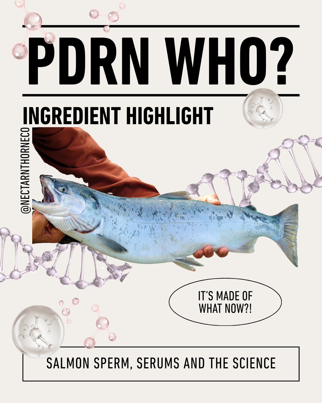 Hello my name is PDRN.